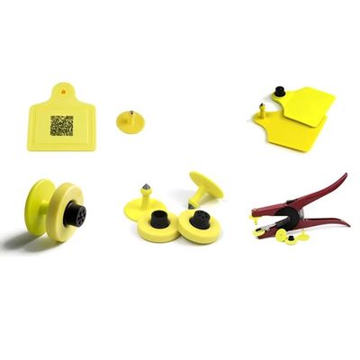 Programação TPU RFID Animal Ear Tag para fácil rastreamento Vaca Cabra Bode Ovelha